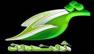 Watch Zhwandoon TV Live